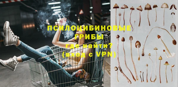 экстази Каменка
