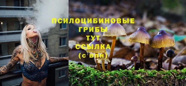 экстази Каменка