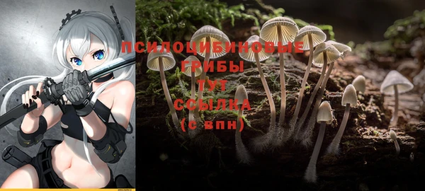 героин Инта