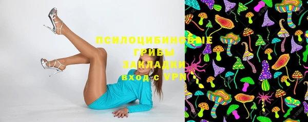 экстази Каменка